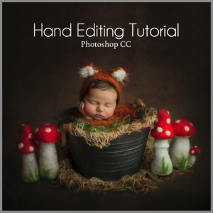 Fox and Toadstools Newborn Editing Tutorial | Photoshop Class - Dream Artsy Actions Tutorials