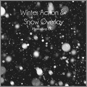 WINTER - Let it Snow - Action Set and Overlay - Dream Artsy Actions Tutorials