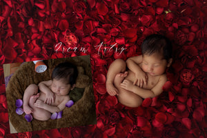 Soft & Pure Newborn Action Collection - Dream Artsy Actions Tutorials